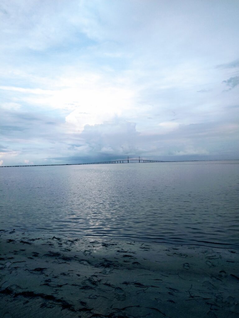 View at Ft De soto