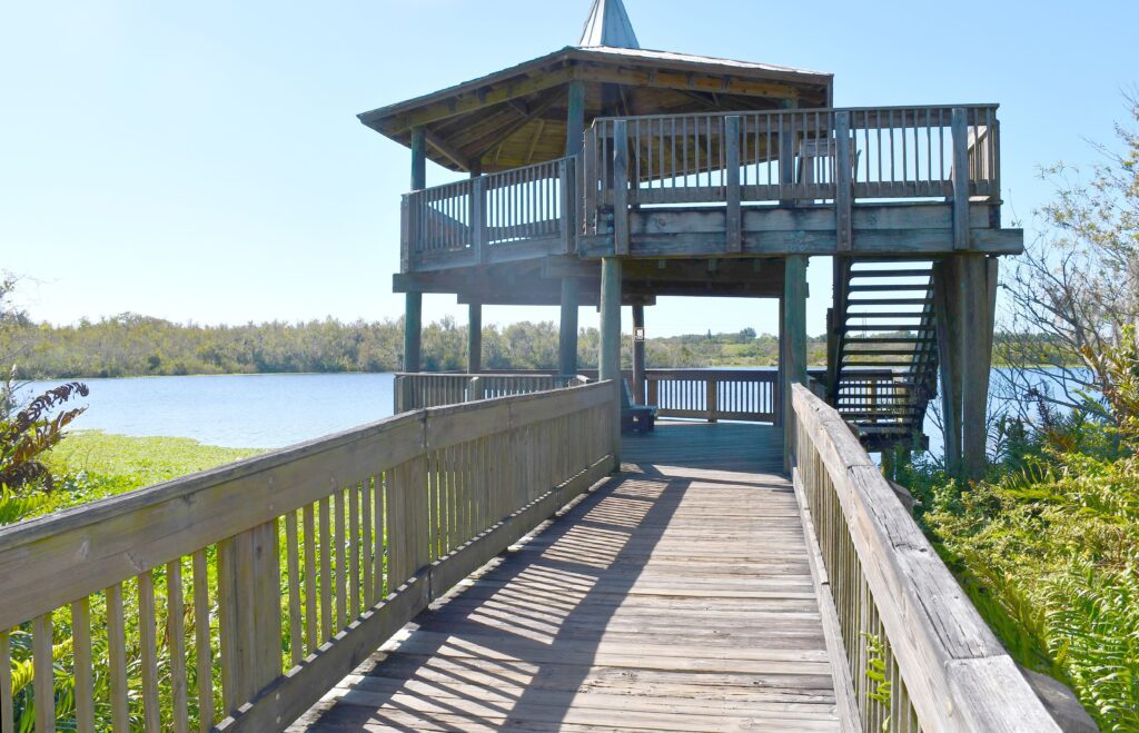 Observation Tower